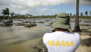 FPI detecta supressão de vegetação na Área de Proteção Ambiental de Piaçabuçu