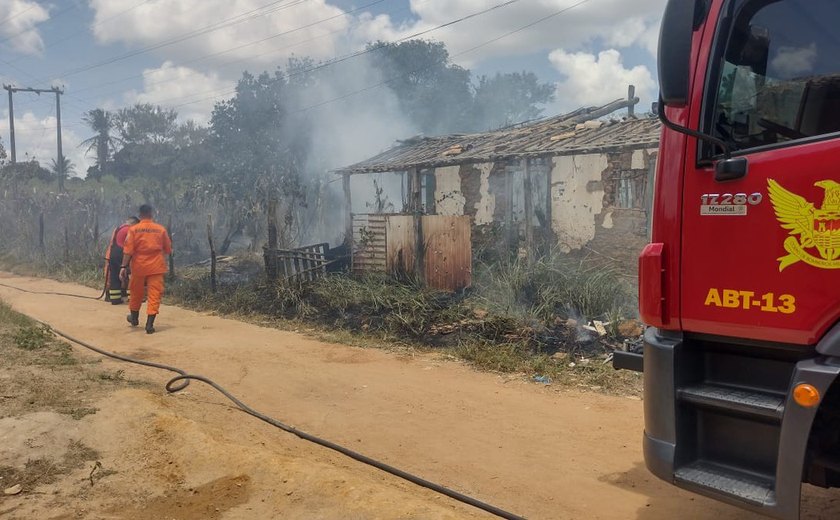 Incêndio atinge plantação de palmas e casa de taipa na zona rural de Arapiraca