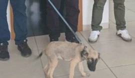 Homem é preso por maus-tratos a animal e ameaça em Teotônio Vilela