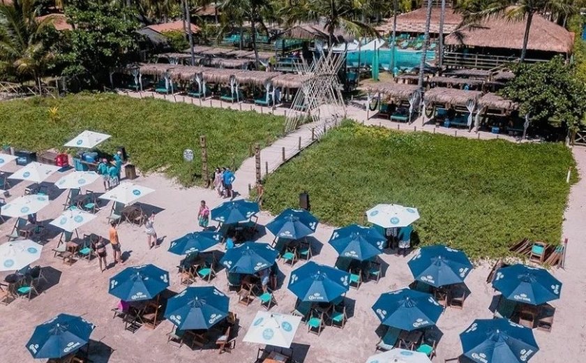 Beach club na praia do Toque vai inaugurar o maior portal de eucalipto tratado da América do Sul