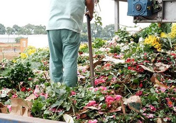 Coronavírus faz cooperativas jogarem fora 70% das flores produzidas em Holambra