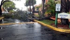 Miami registra neste sábado primeiras chuvas associadas ao Furacão Irma