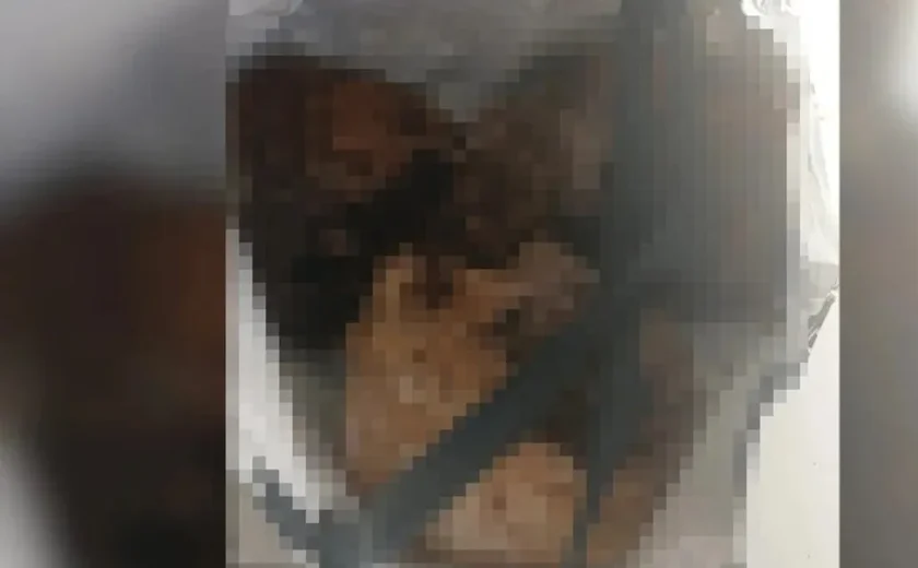 Homem é flagrado com três crânios humanos dentro de sacola em Porto Alegre