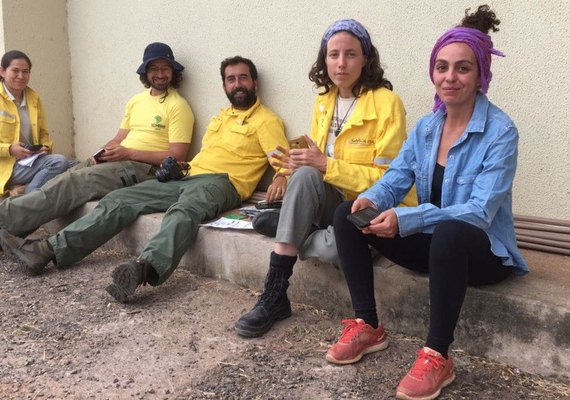 Voluntários trabalham 20h com sensação de até 40°C para combater fogo