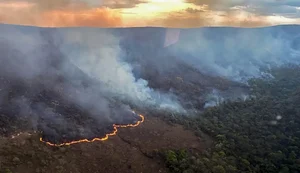 Brasil concentra 76% dos incêndios na América do Sul