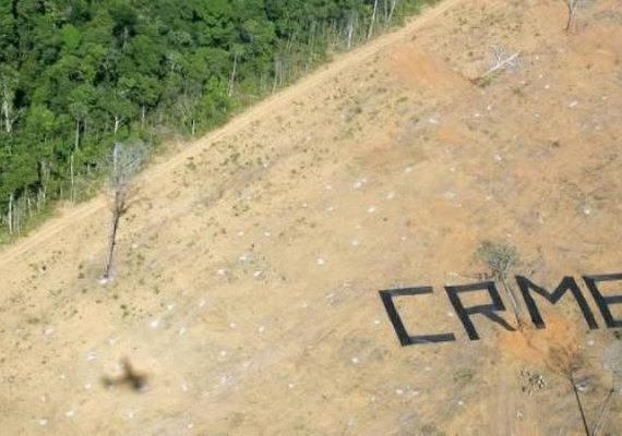 Tribunal Penal Internacional reconhece 'ecocídio' como crime contra a Humanidade
