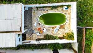 Homem morre depois de ser atacado por abelhas em Santana do Ipanema