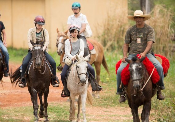 Trinta e nove agências de turismo estão credenciadas para recepcionar turistas chineses
