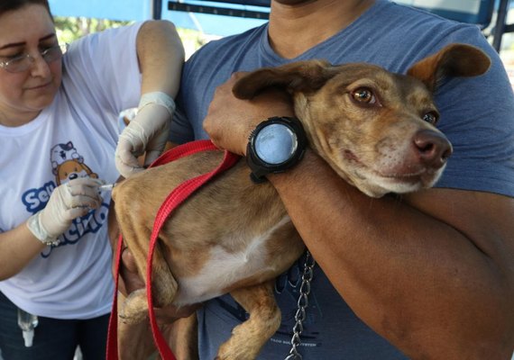 Alagoas inicia oficialmente a Campanha de Vacinação Antirrábica Anual