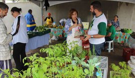 Feira Orgânica terá mais uma edição neste domingo (5)