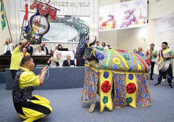 Lei de deputada que torna Boi do Canário Patrimônio Imaterial de Alagoas é sancionada