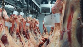 Pecuaristas de Alagoas serão certificados para exportar carne para todo o Brasil