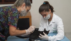 Programa de Acolhimento de Animais conscientiza sobre importância da vacinação