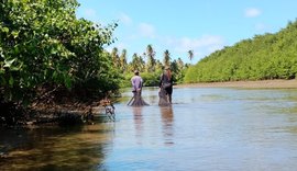 Peld Costa dos Corais realiza monitoramento de peixes em áreas berçário de Barra de Santo Antônio e Porto de Pedras
