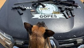 Polícia apreende arsenal de armas de fogo em São Sebastião, no Agreste de Alagoas