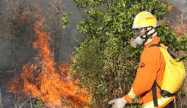 Incêndio de grandes proporções atinge Parque Nacional de Brasília