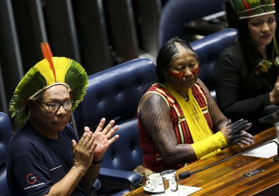 Dia do Índio é marcado por apelos no Senado