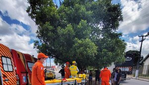 Briga entre pessoas em situação de rua termina com feridos e prisão