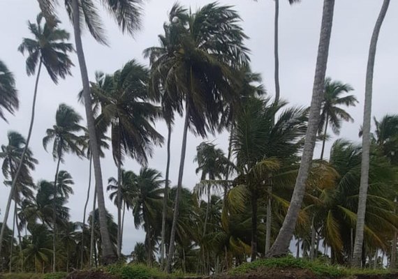 Litoral e Baixo São Francisco de Alagoas terão ventos de até 50 km/h neste fim de semana