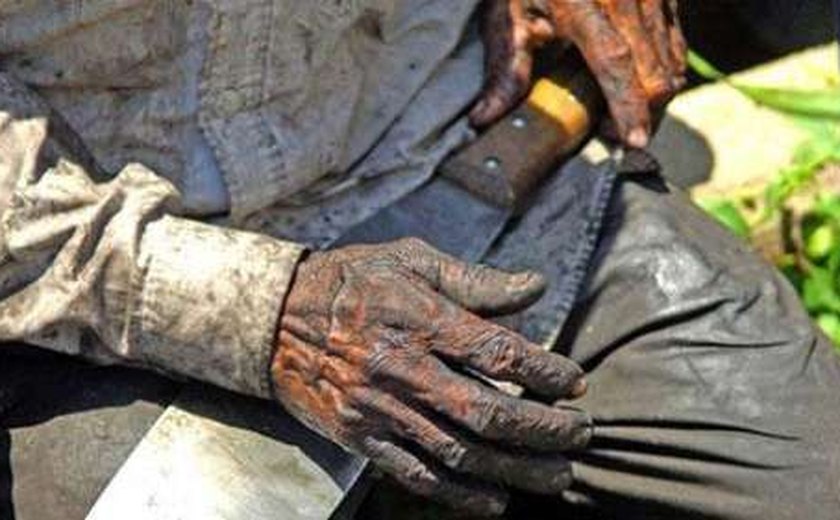 Brasil tem mais de 450 inquéritos sobre trabalho escravo sem solução