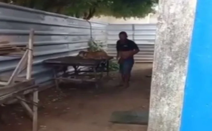 Homem é flagrado estuprando cadela no interior de Alagoas