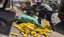 Polícia Civil incinera mais de uma tonelada de drogas apreendidas na região metropolitana de Maceió