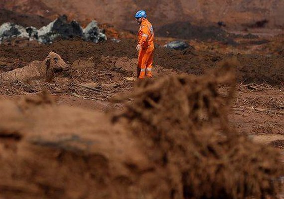 Sobe para 224 o número de mortos identificados em Brumadinho