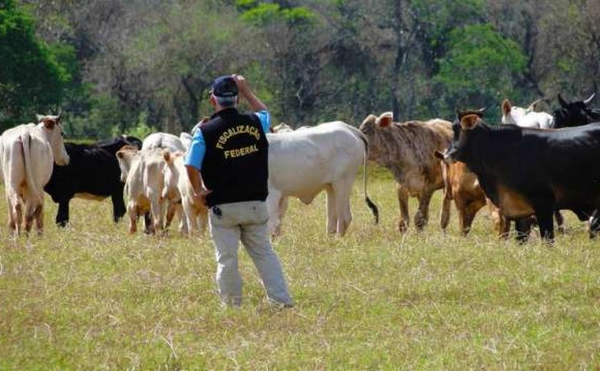 Auditores fiscais federais agropecuários decidem fazer operação padrão