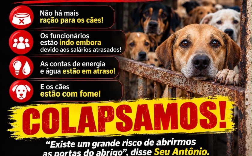 Abrigo São Cão entra em colapso e pede socorro