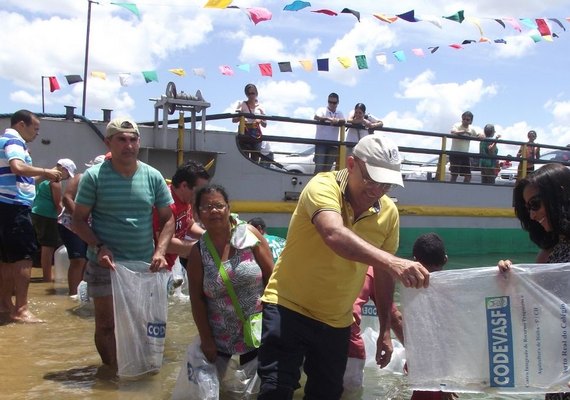 Peixamento em trecho do São Francisco em AL insere espécies desaparecidas