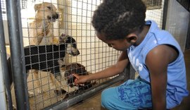 Resolução define e caracteriza o que é crueldade, abuso e maus-tratos contra animais