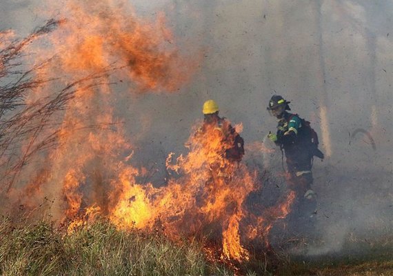 Incêndio destrói 500 mil hectares de vegetação na Bolívia e abala campanha de Evo Morales