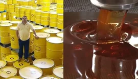 Encomendas canceladas: tarifaço já afeta produtores de mel do Nordeste