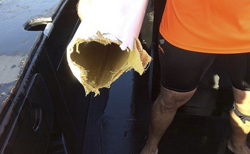 Australiano escapa ileso após tubarão arrancar pedaço de caiaque