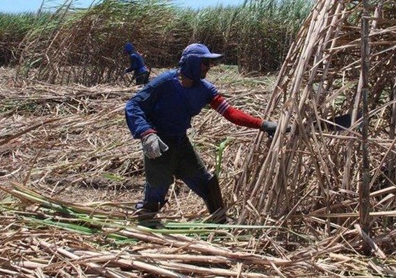 Alagoas é o 5º Estado  em empregos formais