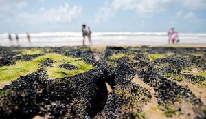 Estudo da UFRJ aponta que óleo pode ter saído de área a 700 km da costa brasileira