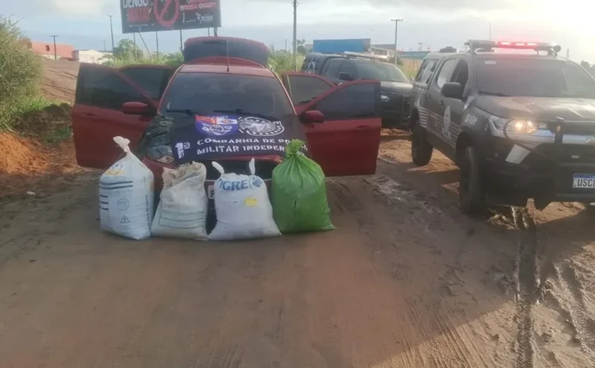 PM apreende 35 kg de maconha que seriam transportados para Marechal Deodoro