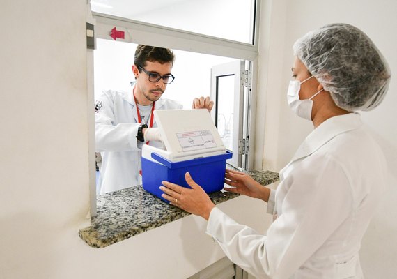 Hemoal assegura hemocomponentes a unidades de saúde e beneficia quase 300 pessoas no Carnaval