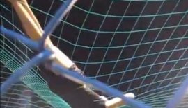 Suspeito identificado por danificar patrimônio público será penalizado de acordo com lei municipal