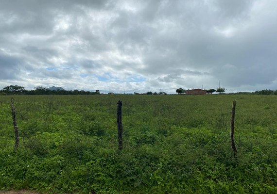 VT de Santana do Ipanema leiloará fazenda de 780 tarefas nesta sexta (18)