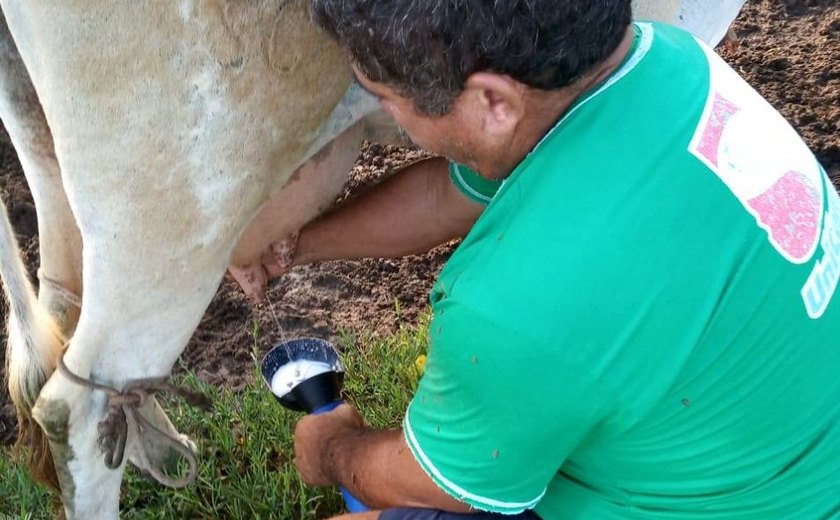 CPLA comemora conquistas dos produtores de leite