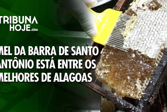 Mel da Barra de Santo Antônio está entre os melhores de Alagoas