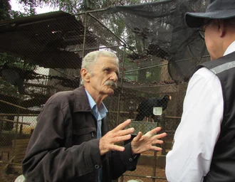 Ministério Público garante primeiros Mutuns-de-alagoas para soltura por meio do 'Projeto 50 Casais'