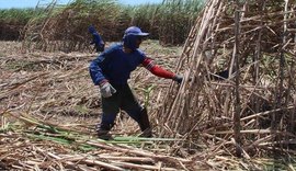 Alagoas é o 5º Estado  em empregos formais