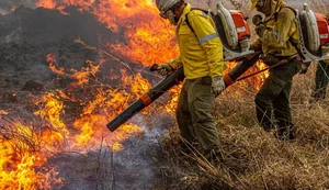Pré-COP: Brasil propõe resposta global a incêndios florestais