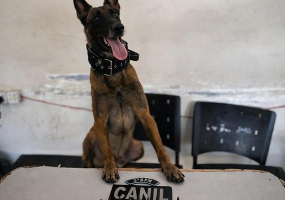 Homem é preso por tráfico de drogas em Arapiraca