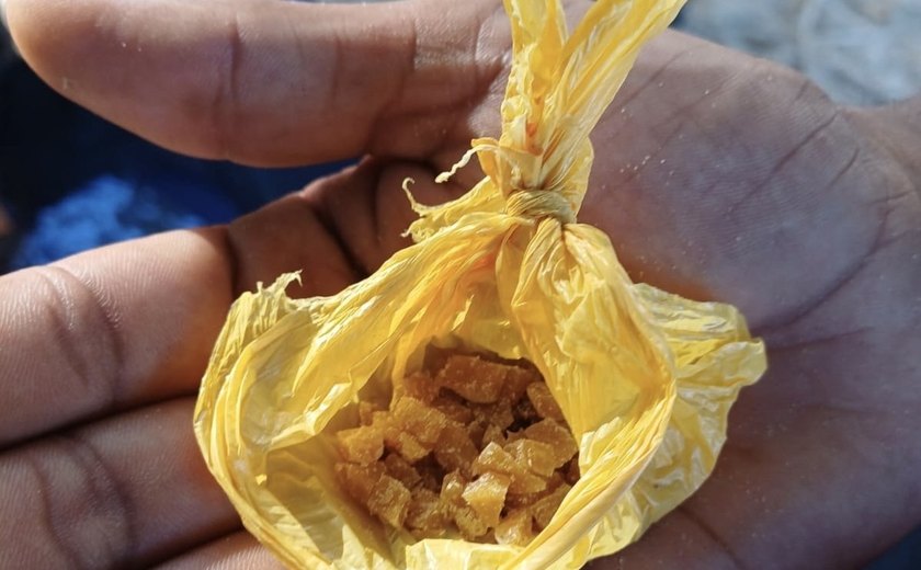 Guarda Civil de Maceió apreende 85 pedras de crack na Ponta Verde