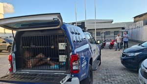 Neto é preso após agredir o avô no bairro Feitosa, em Maceió