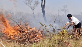 Evo Morales se perde na selva enquanto combatia queimadas na Bolívia