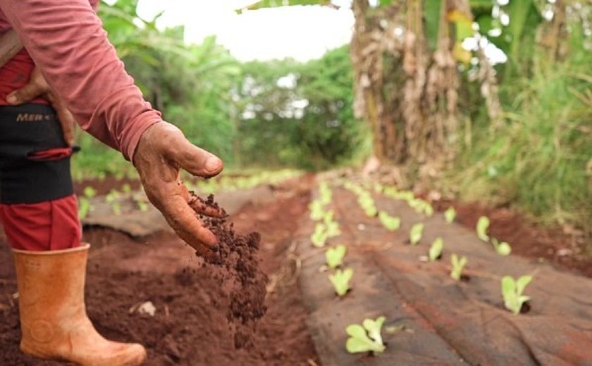 Mantas doadas pela Agreste Saneamento para agricultores de Arapiraca são destaque em uma das principais revistas científicas do mundo